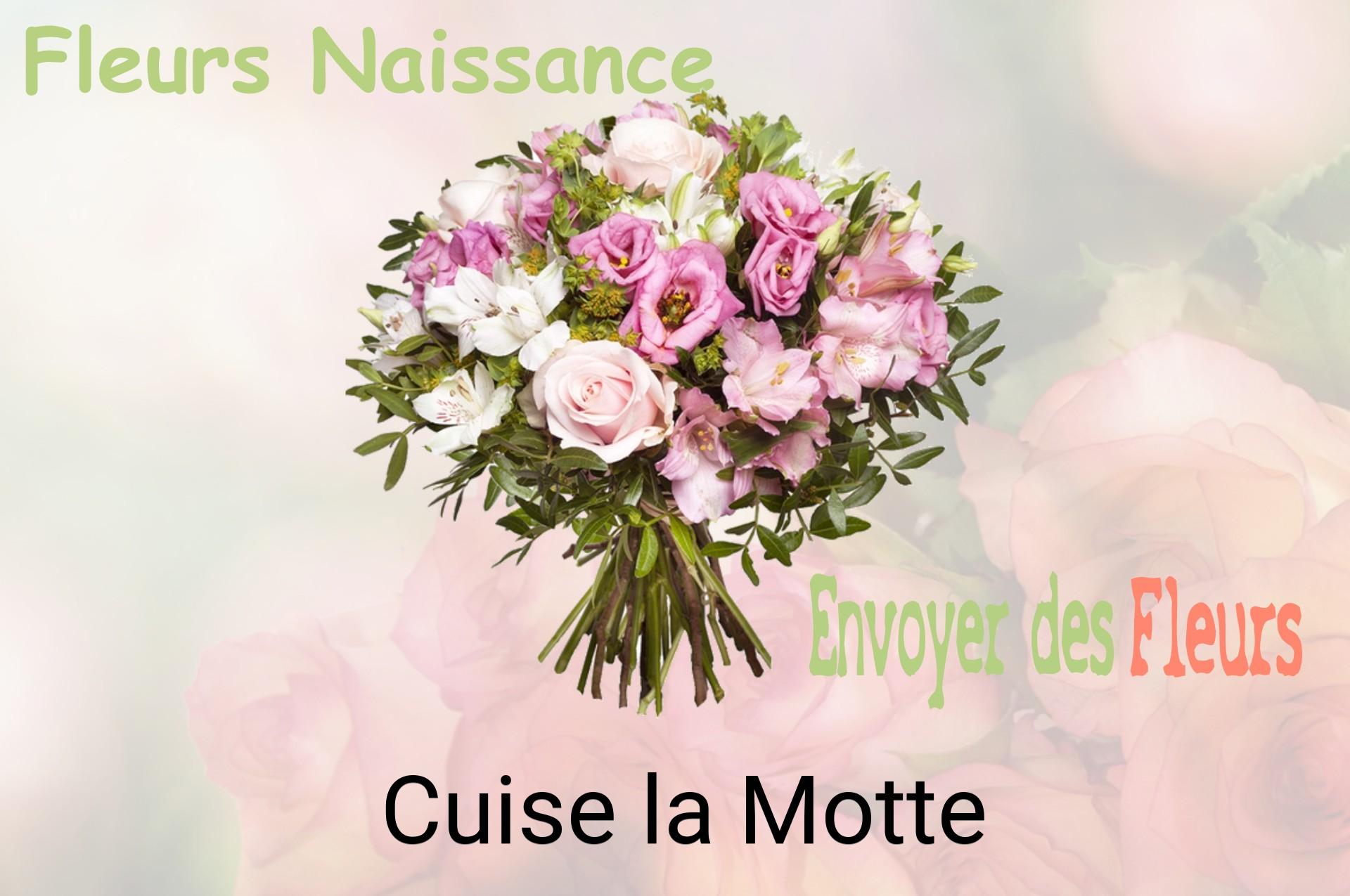 Bouquet de fleurs de naissance livré à Cuise-la-Motte