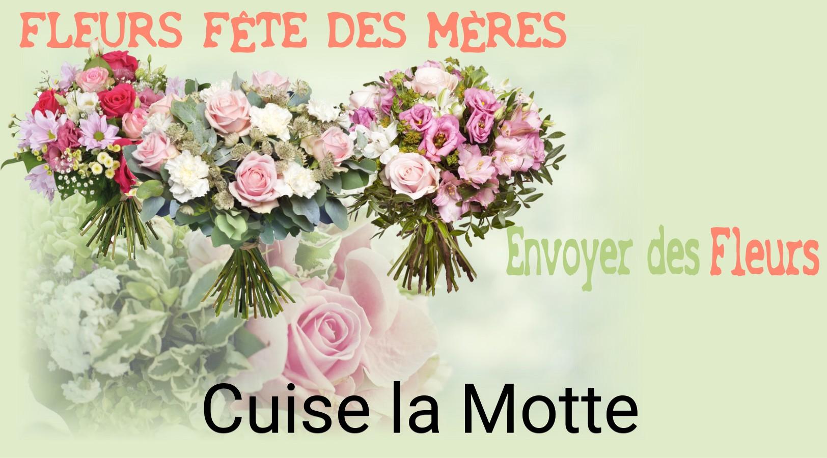 Bouquet de Fête des Mères livré à Cuise-la-Motte